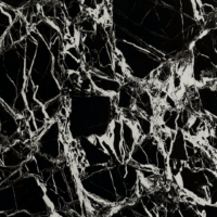 Placa de PVC brilhante 8008