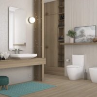 Sanita compacta Coral